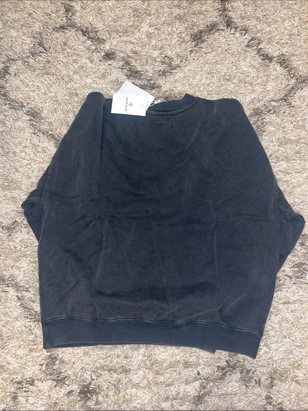 Anine Bing Miles sweatshirt. Palms. Washed grey. Size xs. New with tags. - Picture 4 of 6
